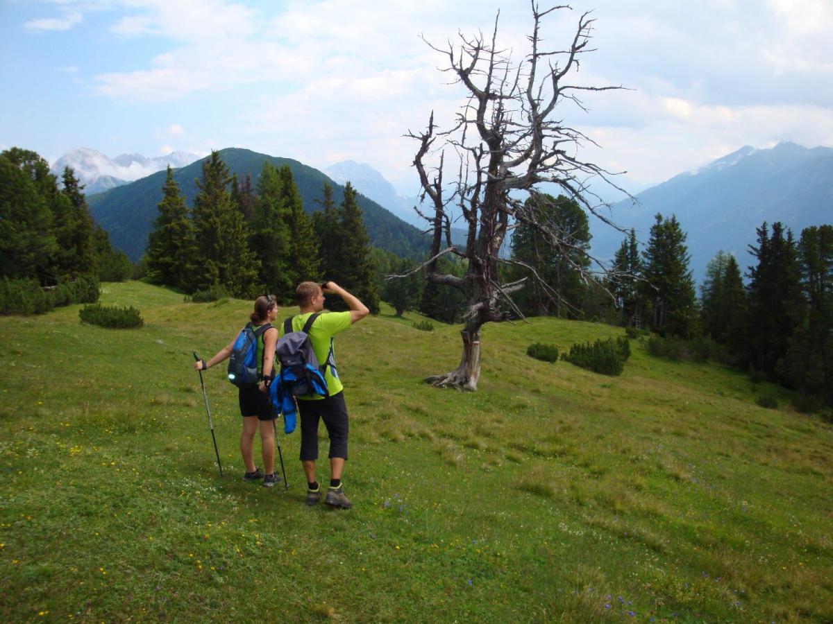 Activ-Family-Apart-Wisiol-Pitztal Sommercard Inklusive Jerzens Exterior foto